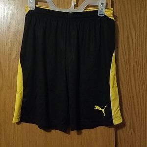 Puma Dri-fit Shorts